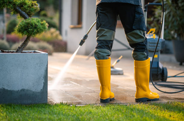 Best Pressure Washing Driveway  in Clear Lake, SD